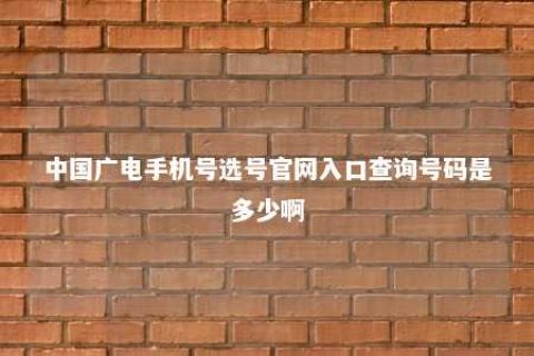 中国广电手机号选号官网入口盘问号码是几多啊